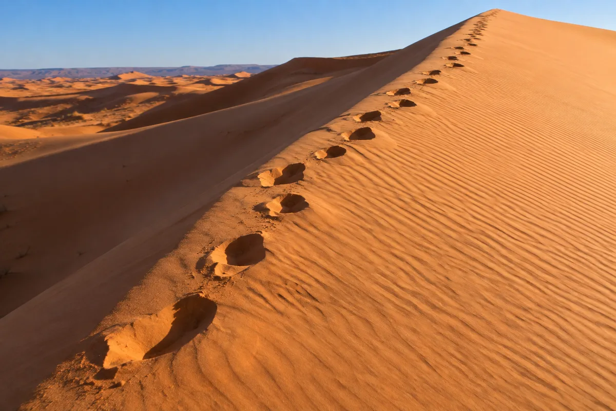 Empreintes de pas alignées sur une crête de dune orangée sculptée par le vent, lumière rasante du matin