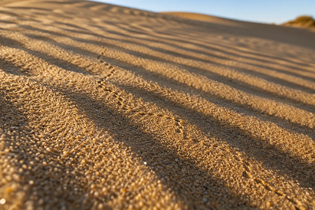 Texture de sable finement ridé par le vent en gros plan, chaque ride soulignée par une ombre fine
